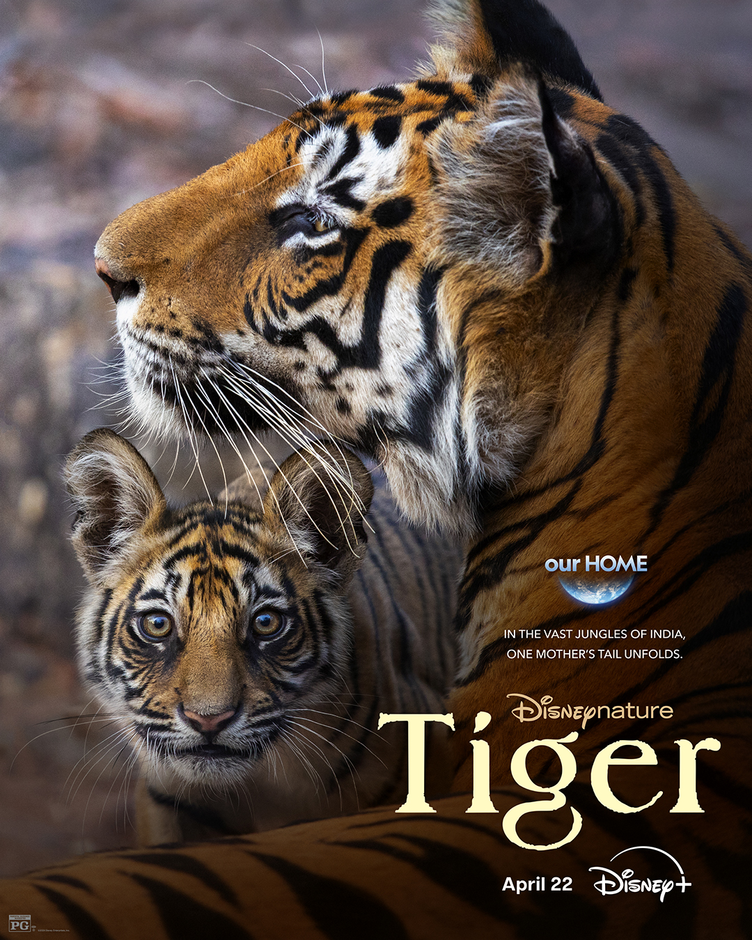 Disney Tiger Movie Poster