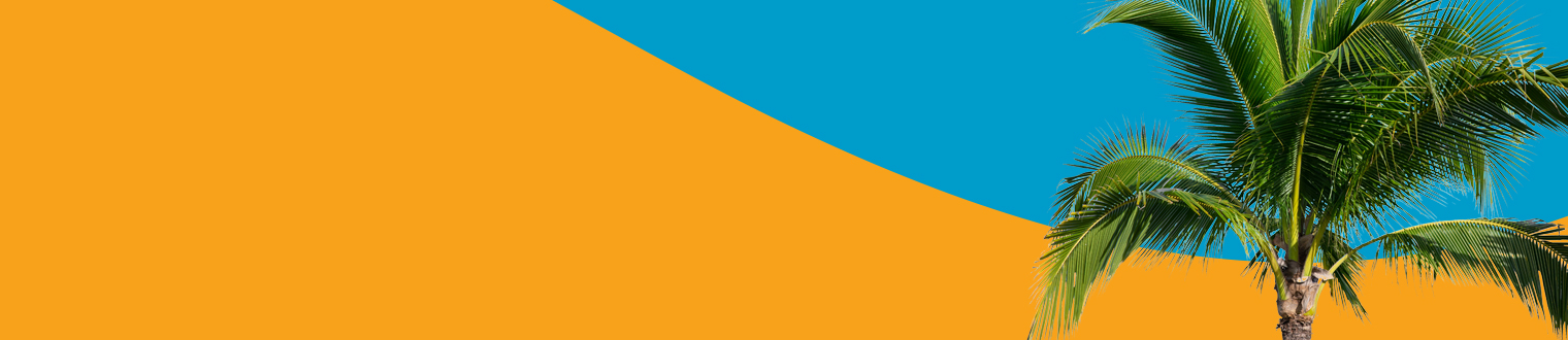 Subpage Header with palm tree images
